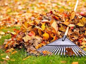 autumn-lawn-care